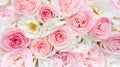 Romantic floral background of roses for wedding occasions. Delicate pink roses close up top view photo with space for text. Design Royalty Free Stock Photo