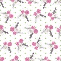 Romantic floral seamless pattern with purple chicory flowers and dots.