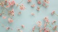 Romantic floral with tiny delicate pink waxflowers sprinkled Royalty Free Stock Photo