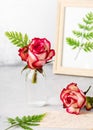 Romantic flower arrangement with red roses and green fern leaves in glass vase. Floral still life in vintage style. Royalty Free Stock Photo