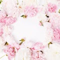 Romantic frame, delicate pink peonies flowers close-up. Fragrant pink petals Royalty Free Stock Photo