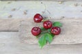 Romantic fruit Royalty Free Stock Photo