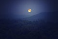 Romantic full moon night Royalty Free Stock Photo