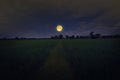 Romantic full moon over green rice field Royalty Free Stock Photo