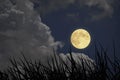 Romantic full moon with white clouds in blue sky Royalty Free Stock Photo