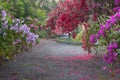 Romantic Garden in Lowcountry of South Carolina in Charleston Royalty Free Stock Photo