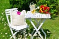 Romantic garden Picnic Royalty Free Stock Photo