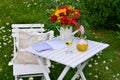 Romantic garden Picnic Royalty Free Stock Photo