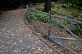 Romantic garden walkway in the park. the curb is modeled from cement and concrete in the shape of branches, trunk, stump and roots