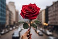 Romantic gesture Red rose held in front of lively cityscape