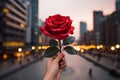 Romantic gesture Red rose held in front of lively cityscape