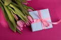 Romantic gift box tied with big pink bow and spring tulips on pink color background. Mother's day or Easter holiday Royalty Free Stock Photo