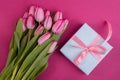 Romantic gift box tied with big pink bow and spring tulips on pink color background. Mother's day or Easter holiday Royalty Free Stock Photo