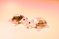 Romantic Glass Turtles on Tinted Pink