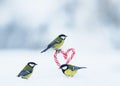 Romantic greeting card with several cute singers birds flew to the red lollipops in the side of the heart in white snow on