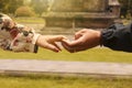 romantic hand in hand, beautiful golden sunlight, background photos