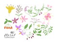 Wild flower meadow illustration.vector floral elements collection. Royalty Free Stock Photo