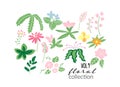 Wild flower meadow illustration.vector floral elements collection. Royalty Free Stock Photo