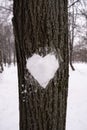 Romantic heart made of snow on a tree