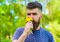 Romantic hipster made bouquet, green nature background, defocused. Aroma concept. Man with beard and mustache on calm