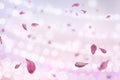 Romantic holiday bokeh background with golden elements flowers petal copy space pink blue green white yellow light color banner Royalty Free Stock Photo