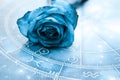 Romantic horoscope with beautiful blue roses like zodiac and love concept