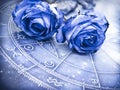 Romantic horoscope with beautiful blue roses like zodiac and love concept