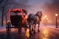 Romantic HorseDrawn Carriage Rides on Valentines