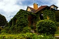 Romantic house exterior covered with vine.