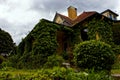 Romantic house exterior covered with vine.