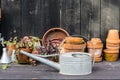 Romantic idyllic plant table in the garden with old retro flower pot pots, garden tools and plants Royalty Free Stock Photo