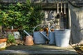 Romantic idyllic plant table in the garden with old retro flower pot pots, tools and plants Royalty Free Stock Photo