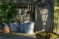 Romantic idyllic plant table in the garden with old retro flower pot pots, tools and plants Royalty Free Stock Photo