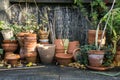 Romantic idyllic plant table in the garden with old retro flower pot pots, tools and plants Royalty Free Stock Photo