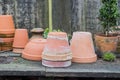 Romantic idyllic plant table in the garden with old retro flower pot pots, tools and plants