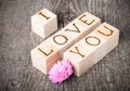 Romantic inscription of letters on light wooden cubes on a old g Royalty Free Stock Photo