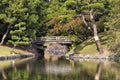 Romantic Japanese garden with bridge pine trees Royalty Free Stock Photo
