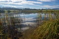 Romantic lake in Bavaria with reeds, water lilies and mountain panorama in the background Royalty Free Stock Photo