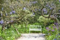 Romantic landscaped garden with flowers, herbs, trees and white seat Royalty Free Stock Photo