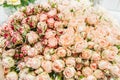 Romantic large bouquet of small peony pink and green roses. Selective focus, close-up