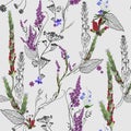 Romantic light seamless pattern with field plants purple flowers, pods, leaves and inflorescences. Elements of plants