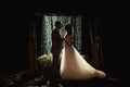 Romantic loving couple newlyweds, wedding against the background of the night sky and rain. the bride and groom stand on Royalty Free Stock Photo