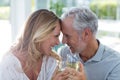 Romantic mature couple holding wineglass