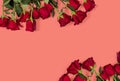 Romantic mockup. Floral frame made of beautiful large red roses on coral colored background. Space for your text. Top view.