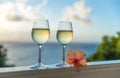 Romantic moments in summer at sunset with two glasses of white wine - Relaxing romantic holiday concept with beautiful view of Royalty Free Stock Photo