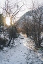 A romantic mountain hiking trail among trees covered with fresh snow on a clear cold sunny winter day. Royalty Free Stock Photo