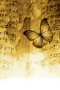 Romantic music sheeds with notes and butterfly Royalty Free Stock Photo