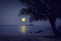 Romantic night over lonely beach Royalty Free Stock Photo