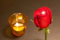 Romantic night, single beautiful red rose and shiny diamond ring Royalty Free Stock Photo