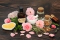 Romantic Occult Love Potion Magic Spell Ingredients Royalty Free Stock Photo